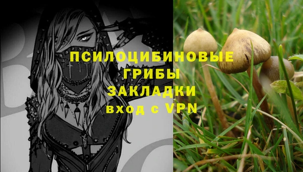 шишки Абдулино