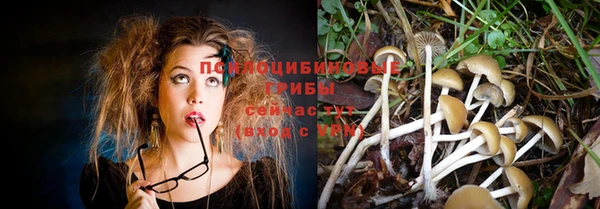метадон Покров