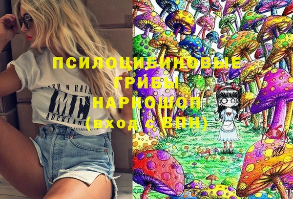 мдпв Абинск